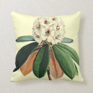 Rhododendron vintage botanical illustration cushion