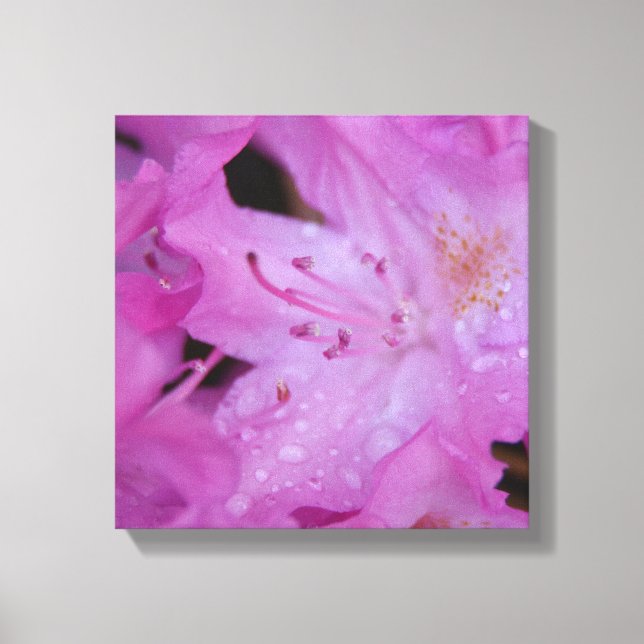 Rhododendron Wrapped Canvas (Front)