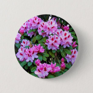 Rhododendrons 6 Cm Round Badge