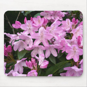 Rhododendrons II Mouse Pad