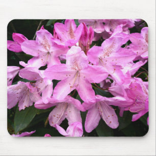 Rhododendrons III Mouse Pad