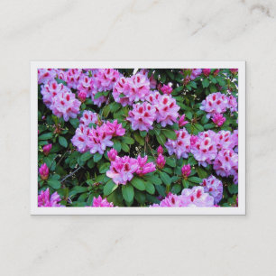 Rhododendrons, Mini Photo Card