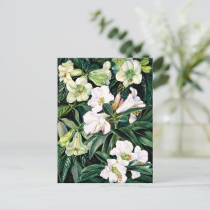 Rhododendrons of North India Postcard