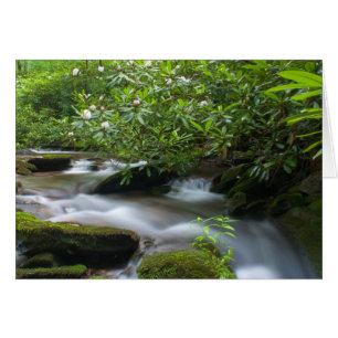 Rhododendrons on the Creek Card