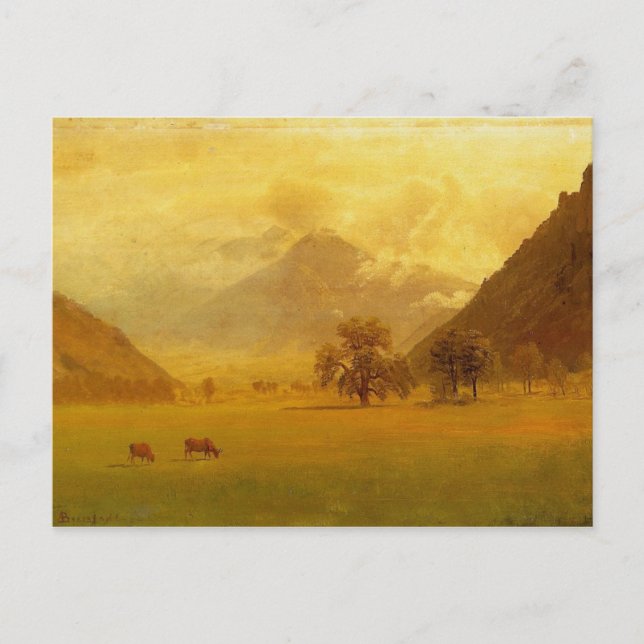 Rhone Valley Postcard (Front)