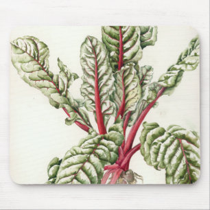 Rhubarb Chard 1992 Mouse Pad