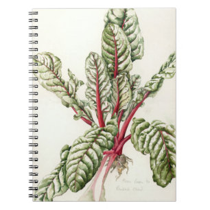 Rhubarb Chard 1992 Notebook