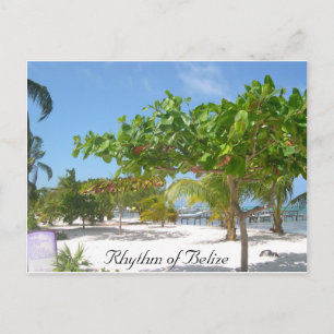 Rhythm of Belise Postcard