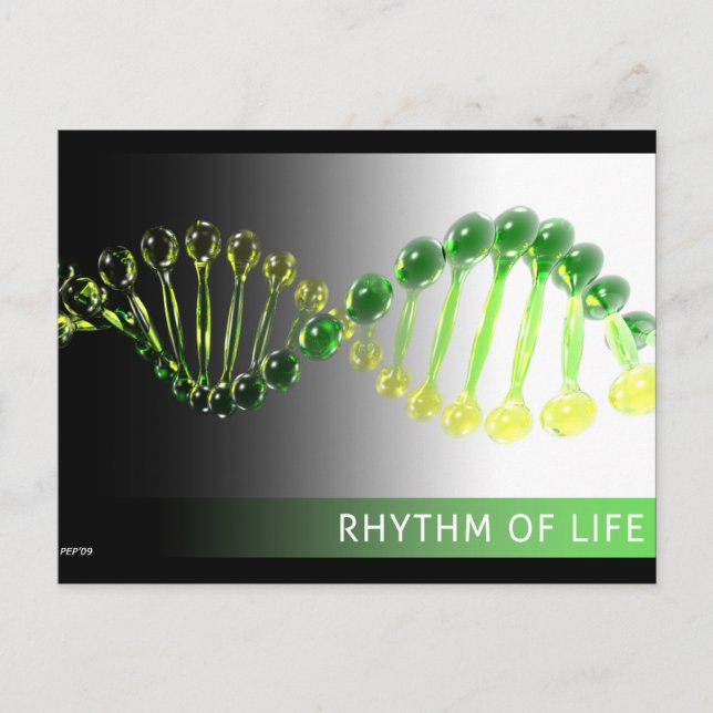 Rhythm of Life Postcard (Front)