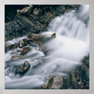 rhythm of nature poster