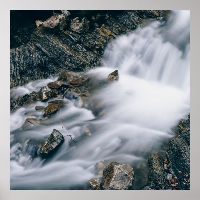 rhythm of nature poster (Front)