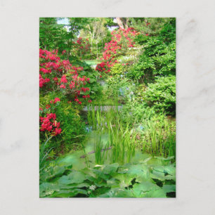 RI Garden postcard