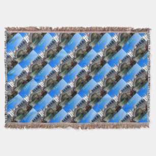 Rialto Bridge Venice - Pro Photo Throw Blanket