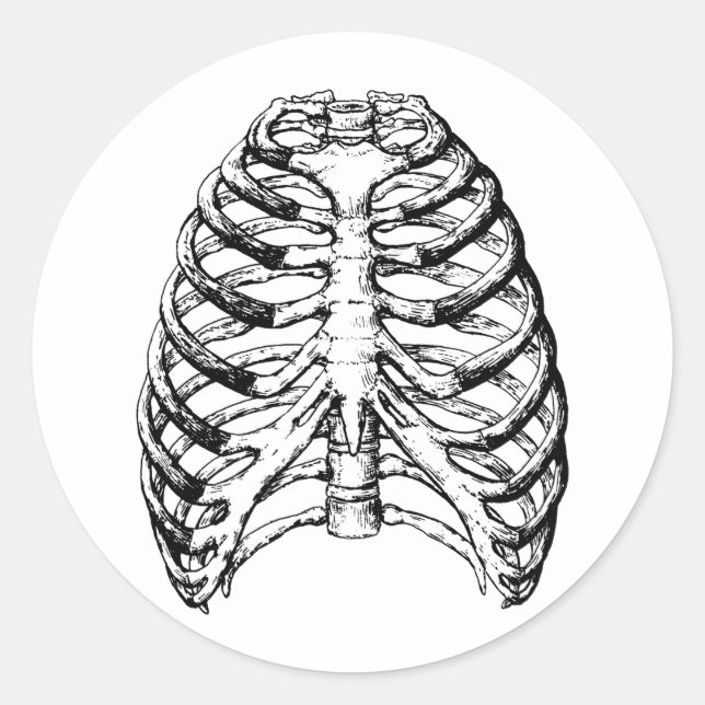 Rib Cage Grey Classic Round Sticker (Front)