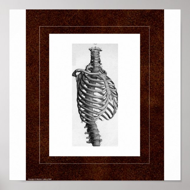 Rib Spirit House Poster (Front)