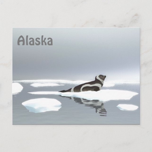 Ribbon Seal On Ice Postcard (Front)