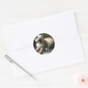 Ribbon Tangle Siamese Kitten Classic Round Sticker