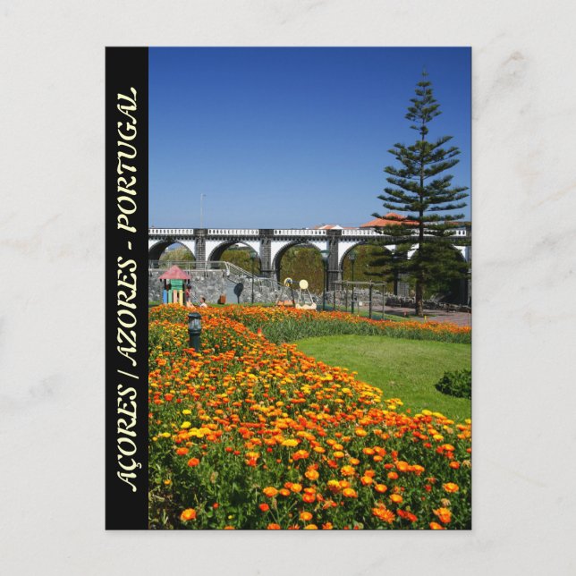 Ribeira Grande gardens Postcard (Front)
