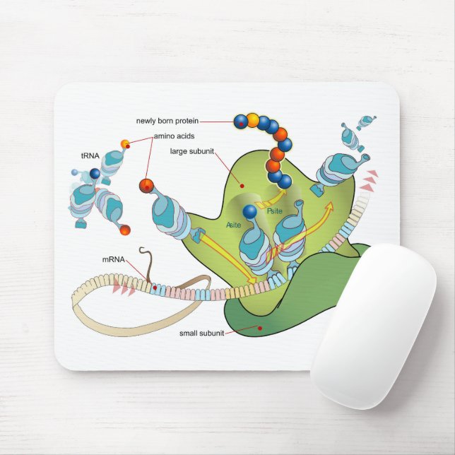 Ribosome mRNA tRNA molecules proteins Diagram  Mouse Pad (With Mouse)