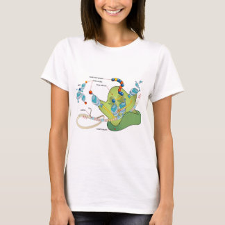 Ribosome mRNA tRNA molecules proteins Diagram  T-Shirt