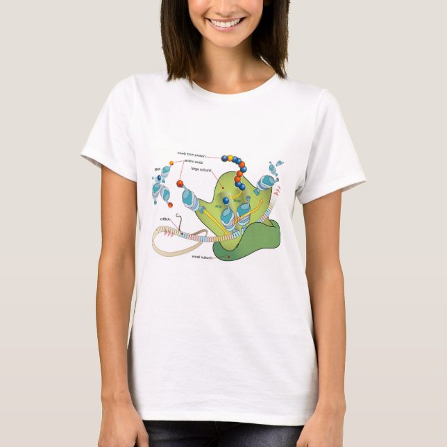 Ribosome mRNA tRNA molecules proteins Diagram  T-Shirt (Front)