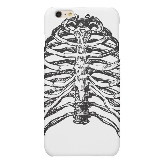 Ribs illustration - ribs art