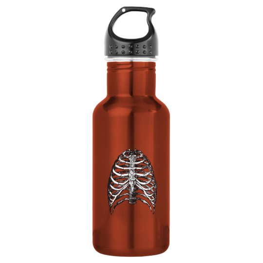 Ribs illustration - ribs art 532 ml water bottle