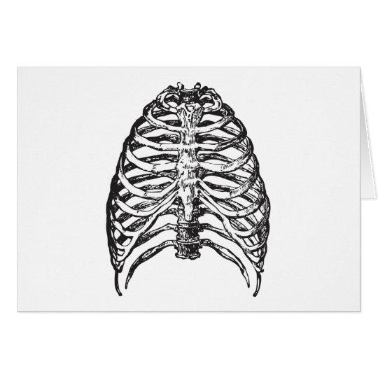 Ribs illustration - ribs art card