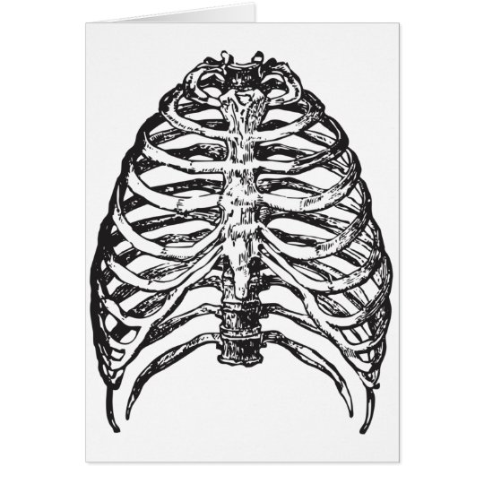 Ribs illustration - ribs art card