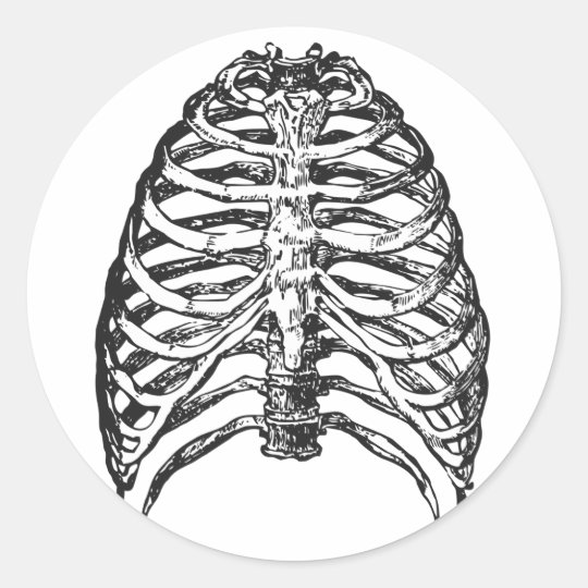 Ribs illustration - ribs art classic round sticker