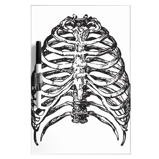 Ribs illustration - ribs art dry erase board