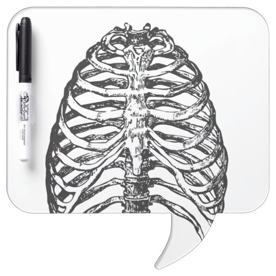 Ribs illustration - ribs art dry erase board