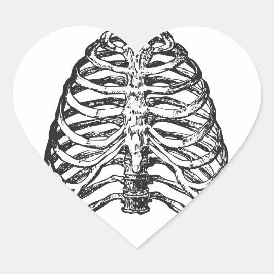 Ribs illustration - ribs art heart sticker