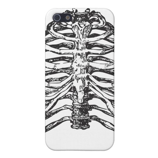 Ribs illustration - ribs art iPhone 5/5S case