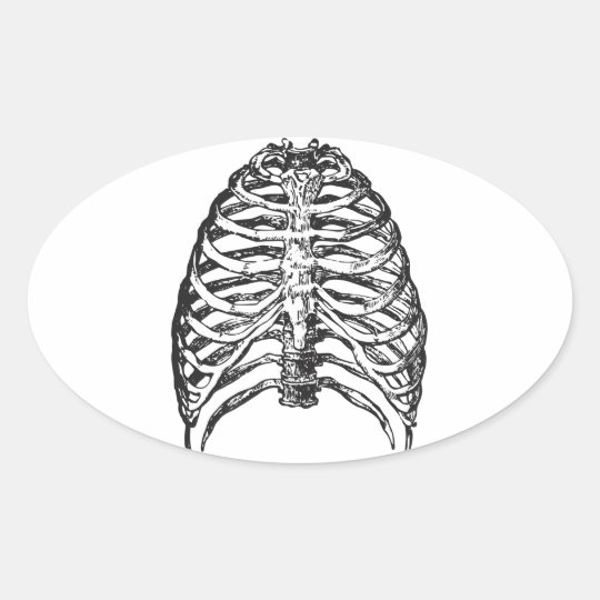 Ribs illustration - ribs art oval sticker