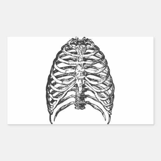 Ribs illustration - ribs art rectangular sticker