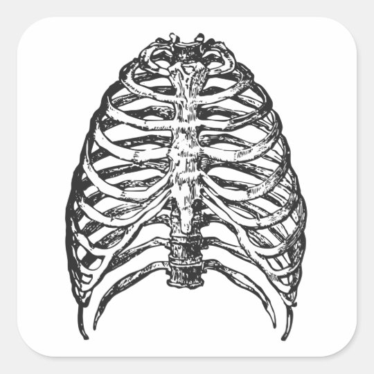 Ribs illustration - ribs art square sticker