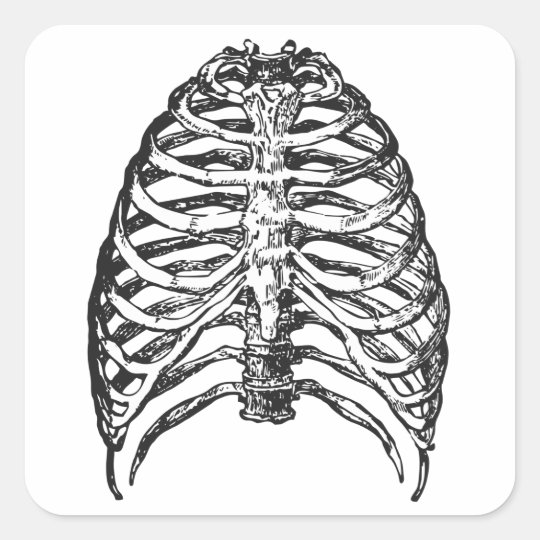 Ribs illustration - ribs art square sticker