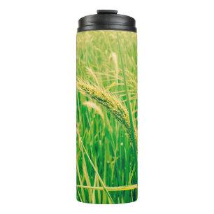 Rice field in rural and fresh, vintage styleabstr thermal tumbler