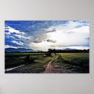 Rice fields on the way poster