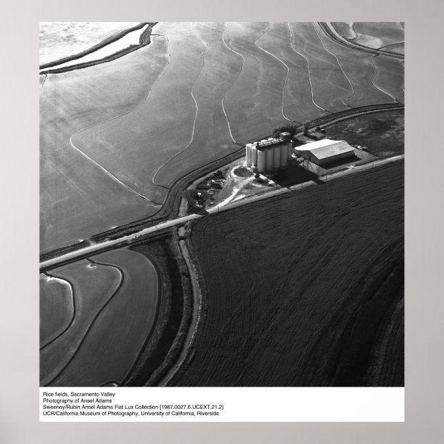Rice Fields, Sacramento Valley, by Ansel Adams Poster (Front)
