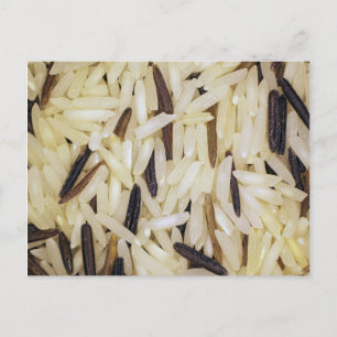 rice grains macro photo postcard