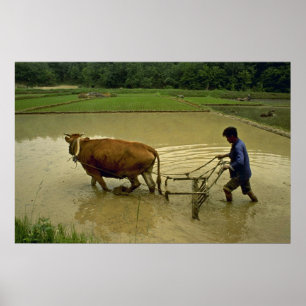 Rice Plough Poster
