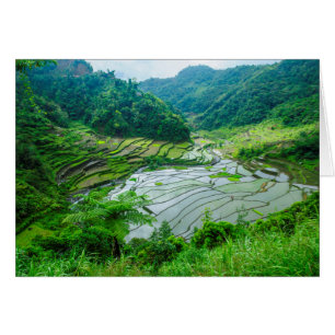 Rice terrace landscape, Philippines