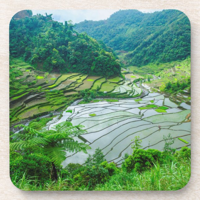 Rice terrace landscape, Philippines Coaster (Front)
