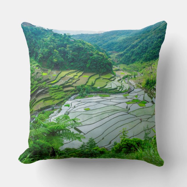 Rice terrace landscape, Philippines Cushion (Front)