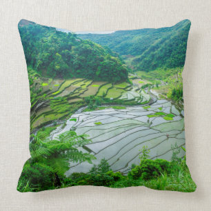 Rice terrace landscape, Philippines Cushion