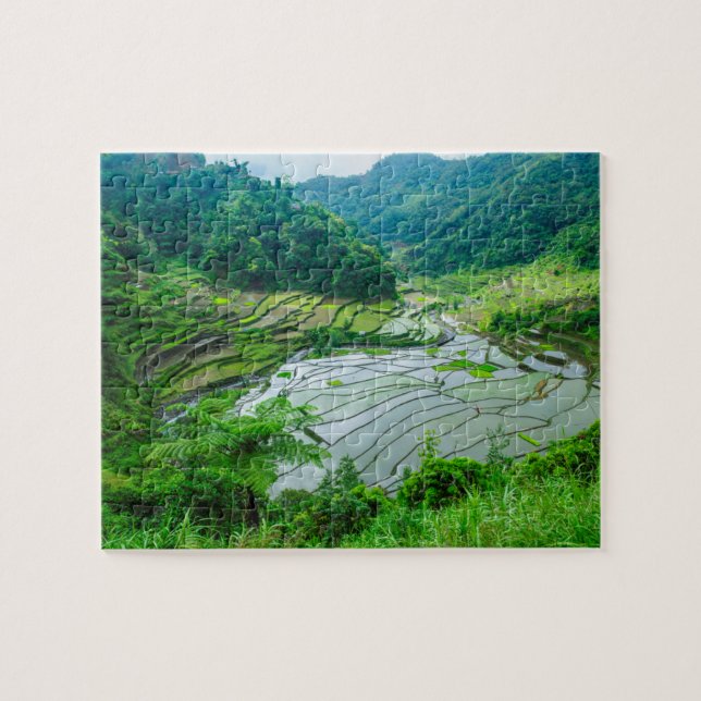 Rice terrace landscape, Philippines Jigsaw Puzzle (Horizontal)