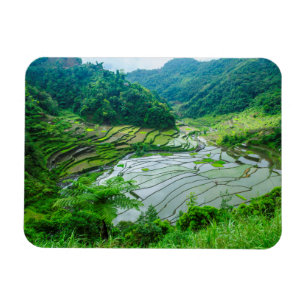 Rice terrace landscape, Philippines Magnet