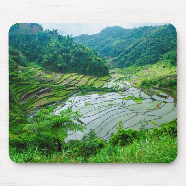 Rice terrace landscape, Philippines Mouse Pad (Front)
